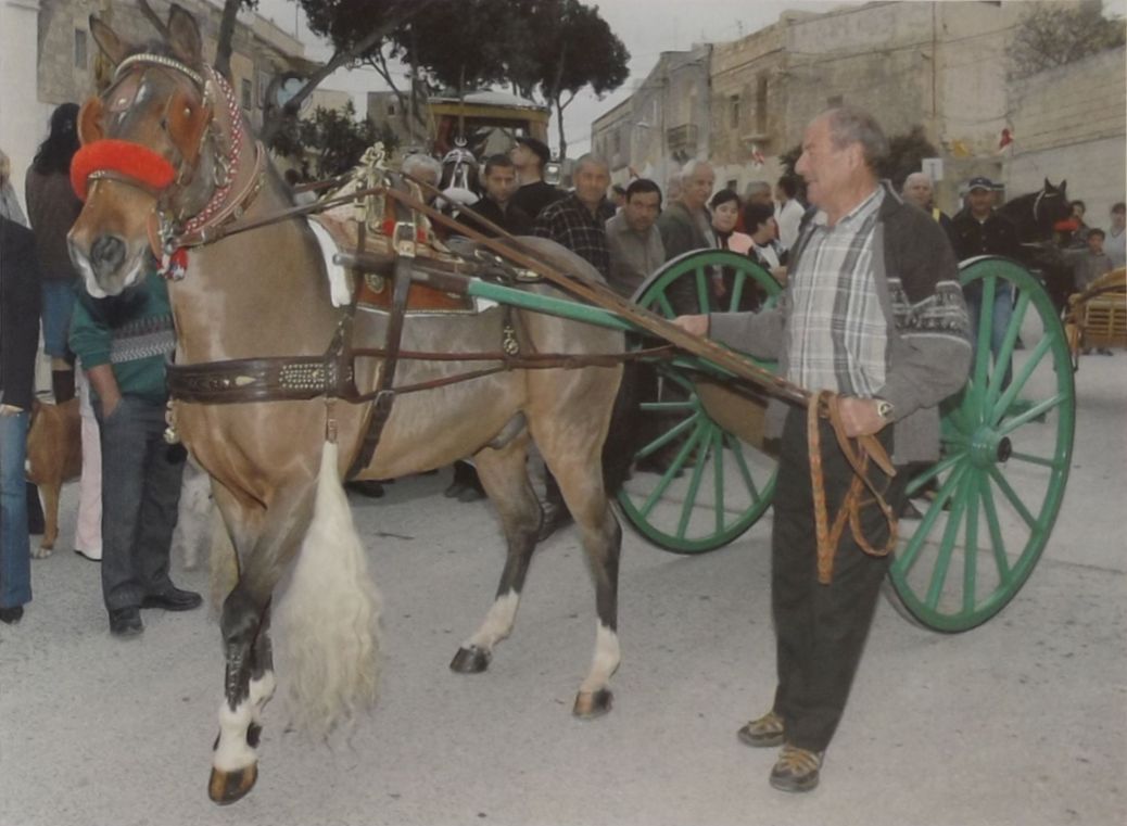 Ziemel bil-karrettun ghall-festa ta' Sant'Anton Abbati.